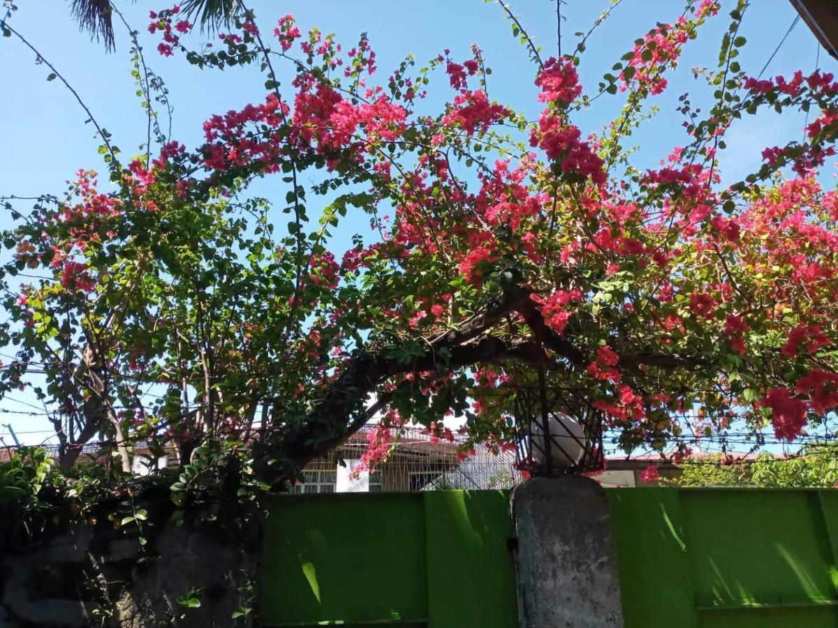 טאגיג Casa Joaquin Bnb מראה חיצוני תמונה