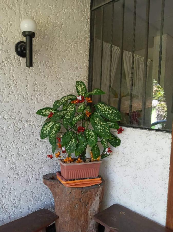טאגיג Casa Joaquin Bnb מראה חיצוני תמונה